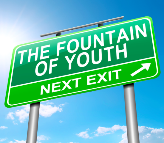 Image result for youth fountain
