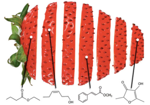 nanoscience strawberry